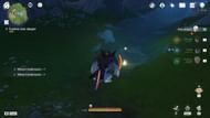 Pick up the second fragment (Image via HoYoverse)